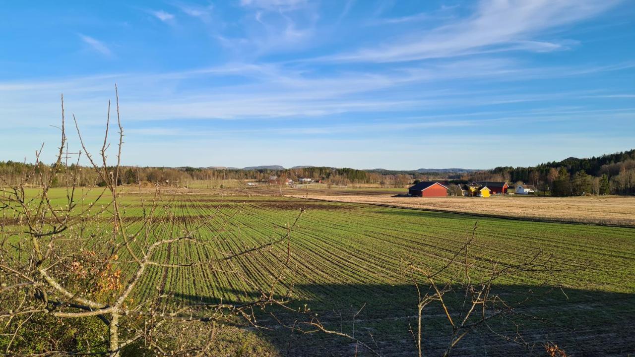 Verningen Apartment Larvik Eksteriør bilde